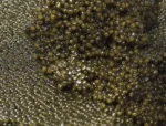 Royal-Select Caviar pearls