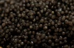 Beluga Caviar pearls