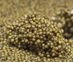 Osietra Caviar pearls