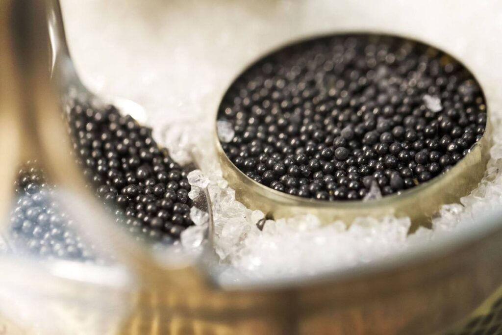 What Is Caviar