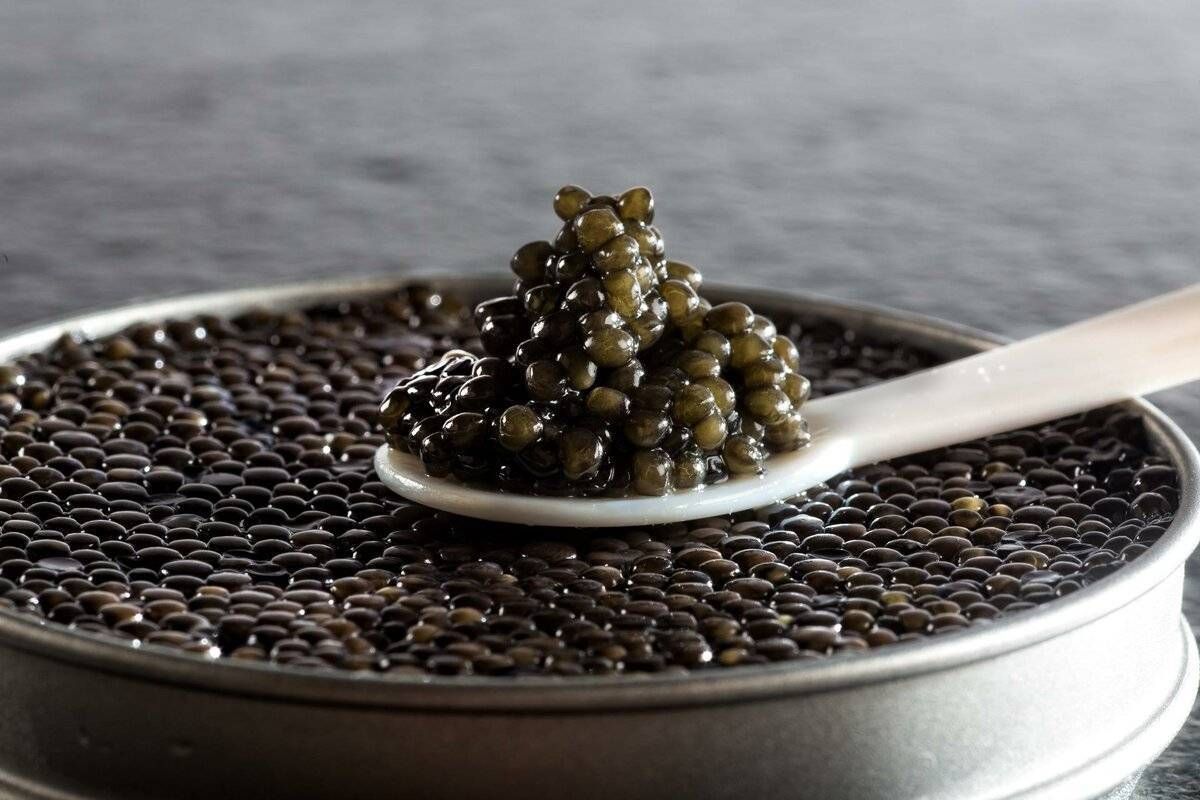 Where Does the Best Caviar Come From?