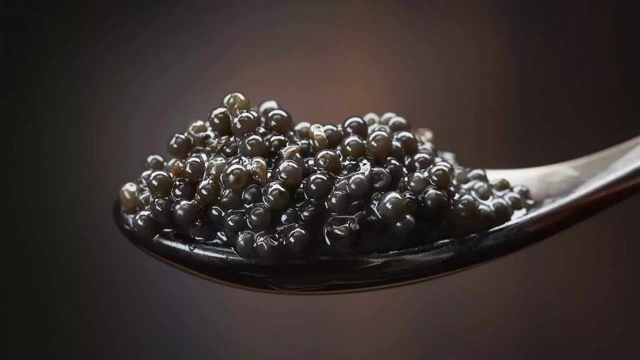 Iranian vs Russian Caviar