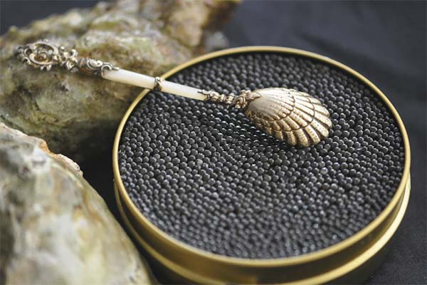Kinds of Caspian Sea Caviar