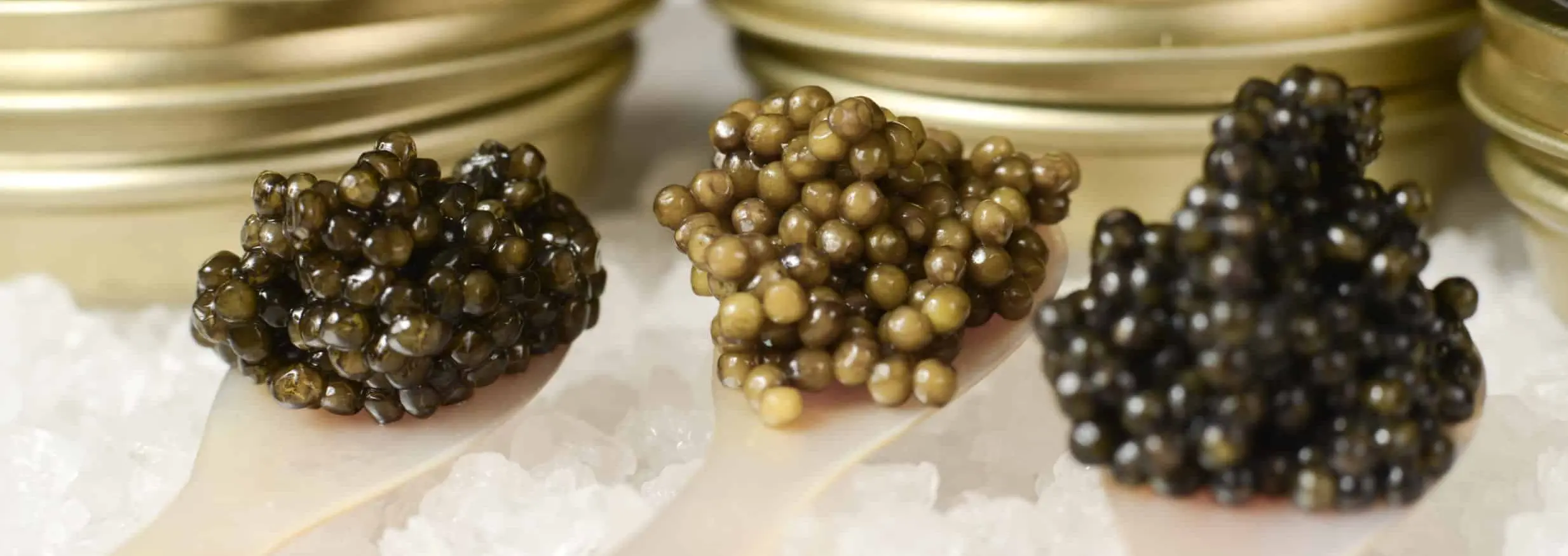 Premium Caviar